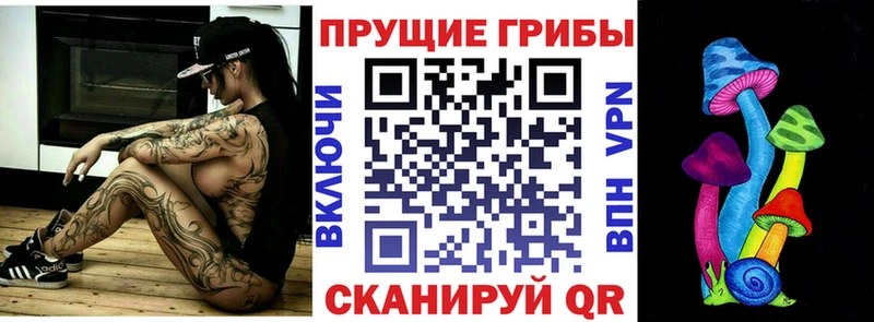 kraken рабочий сайт Вичуга Псилоцибиновые грибы Magic Shrooms